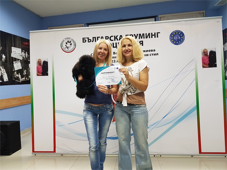 Груминг на пудели с Вера Дограмаджиева